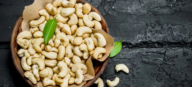 Cashew Nuts