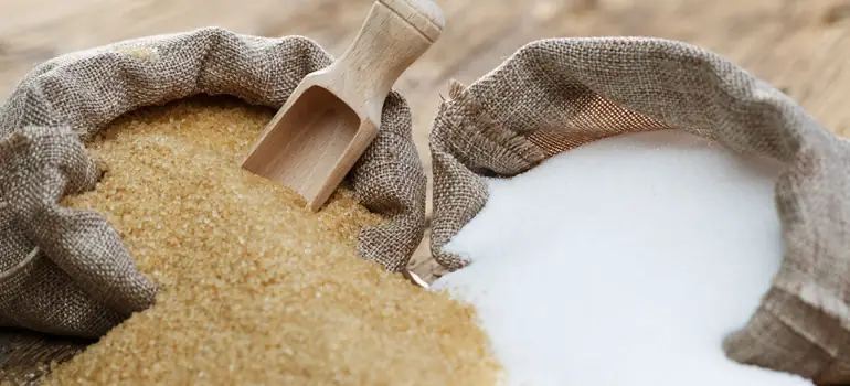 Sugar