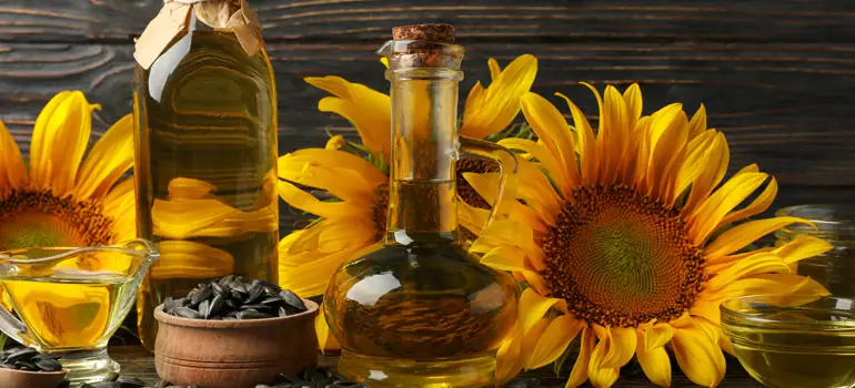 Sunflower Oil